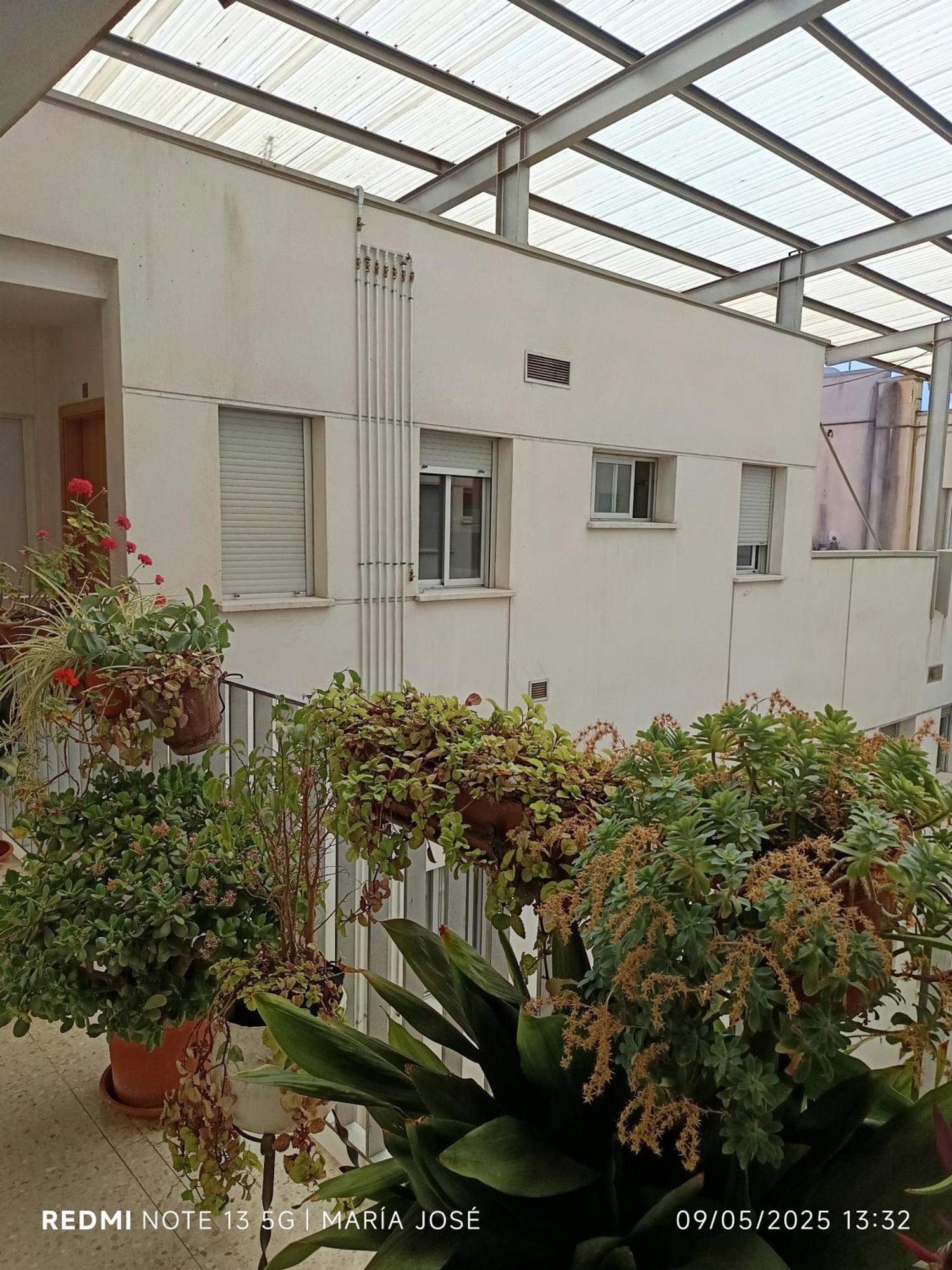 Disfruta Granada,Incluso Con Tu Mascota Parking Apartment Ngoại thất bức ảnh